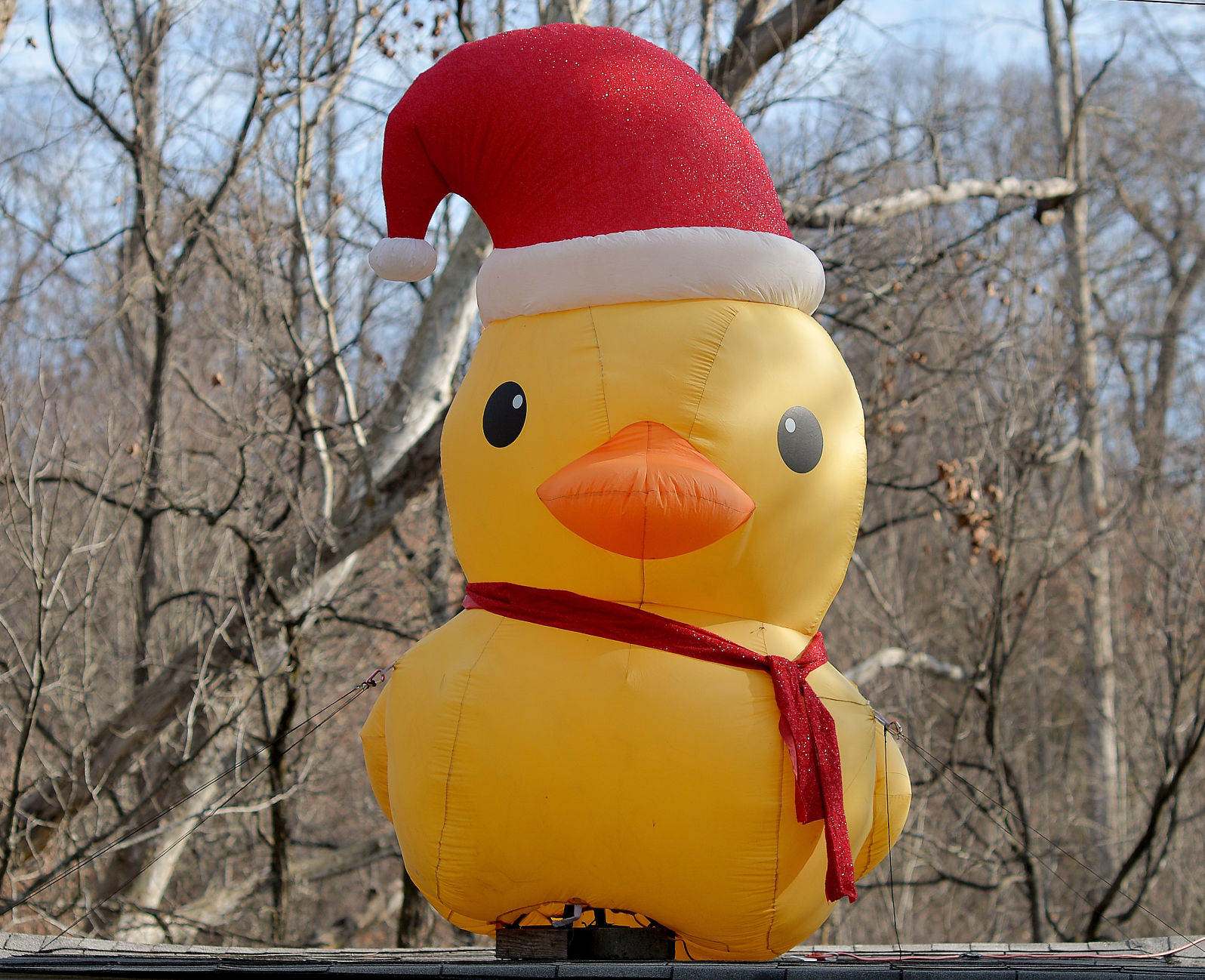 The return of the Weaver Pike Christmas duck
